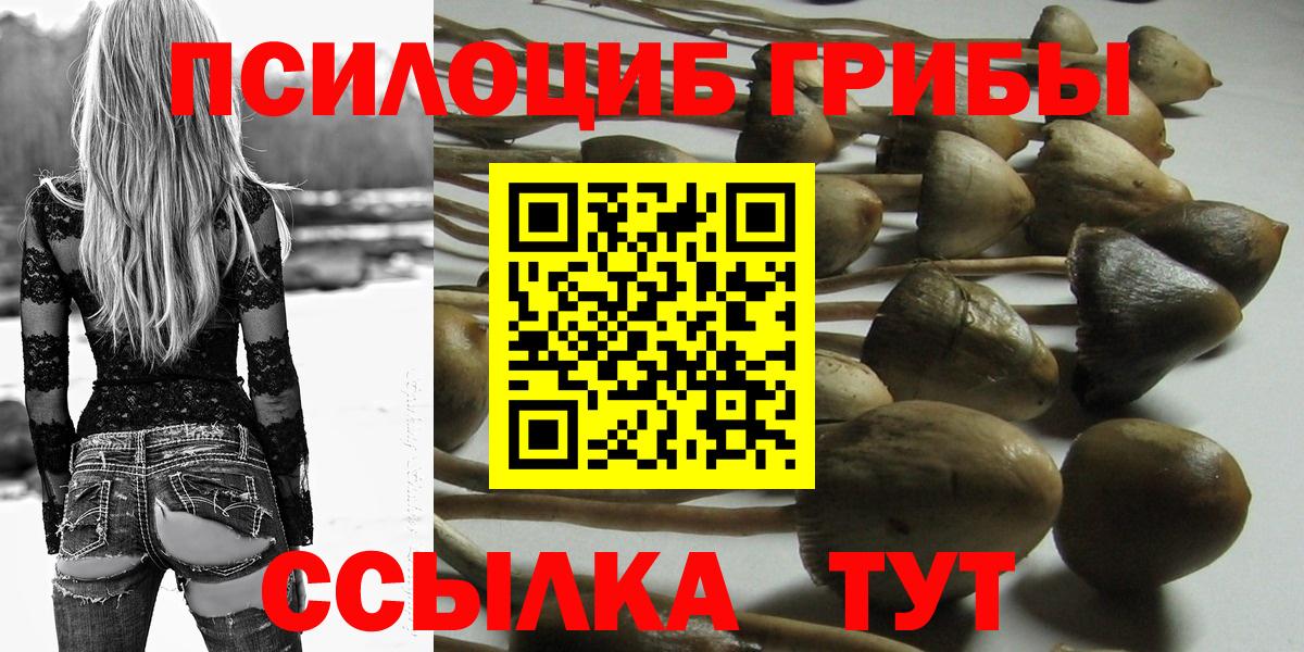 Галлюциногенные грибы GOLDEN TEACHER  Галлюциногенные грибы Psilocybe  Вход с VPN  Воркута 